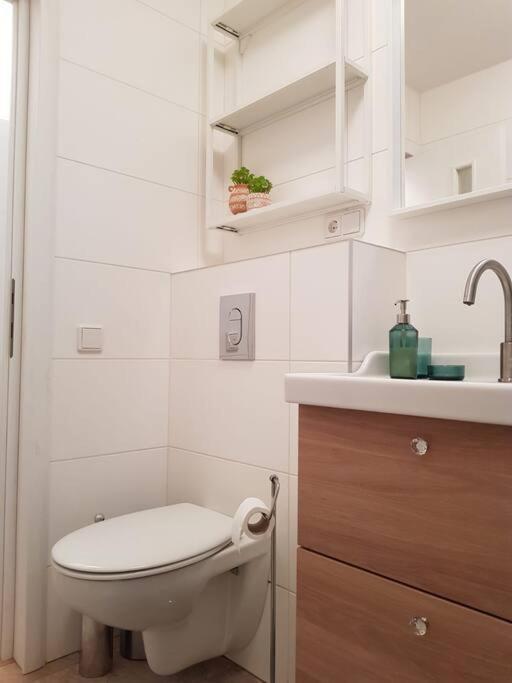 Living City, Apartament Cu Doua Dormitoare Сибиу Екстериор снимка
